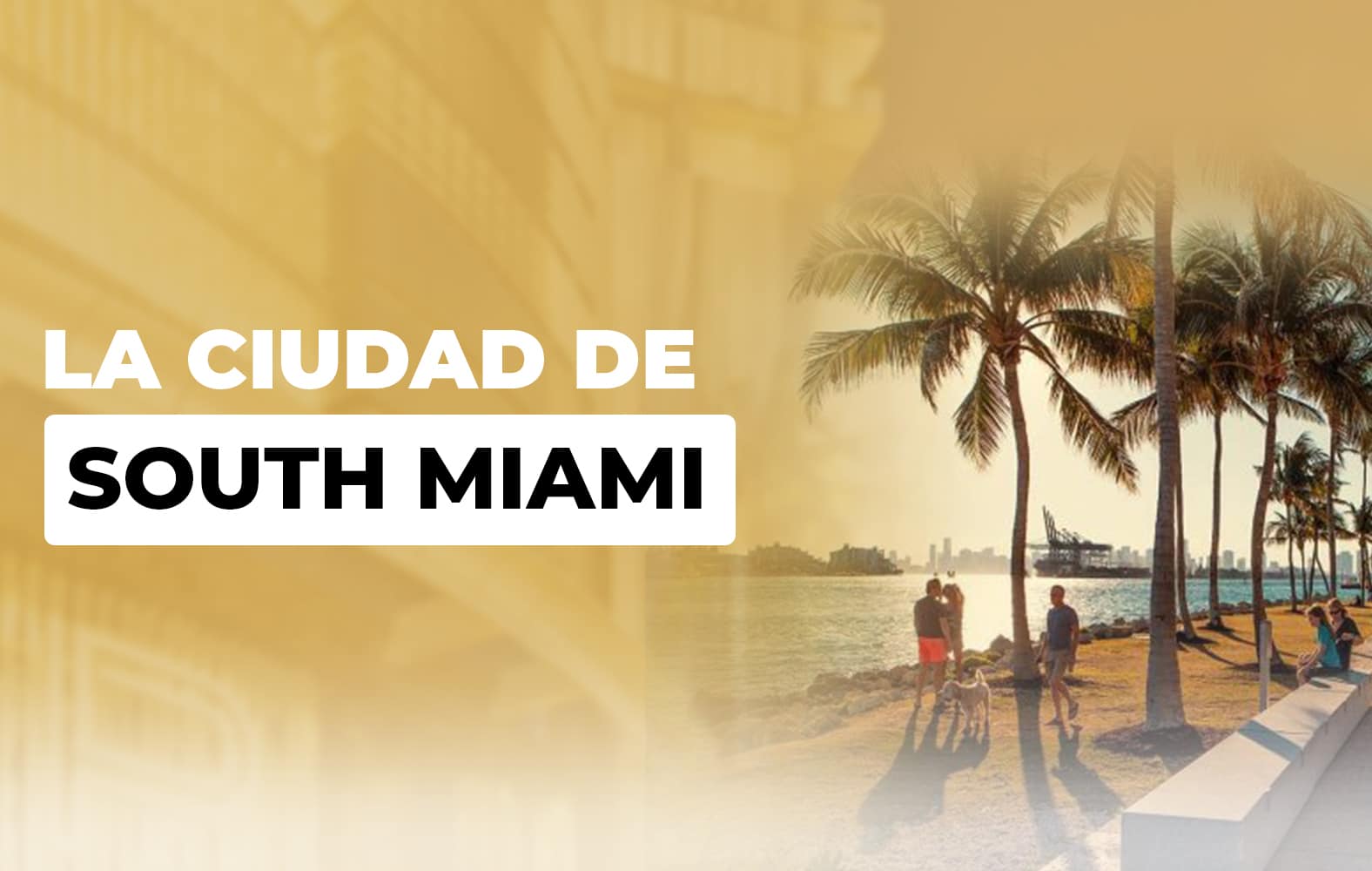 Conoce South Miami